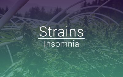 Top 5 Flower Strains Logged For Insomnia